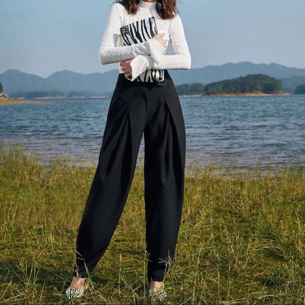 SHEIN Black Pleat Front Pants NWT